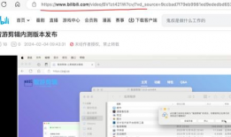 怎么下载b站的视频,B站视频下载全攻略